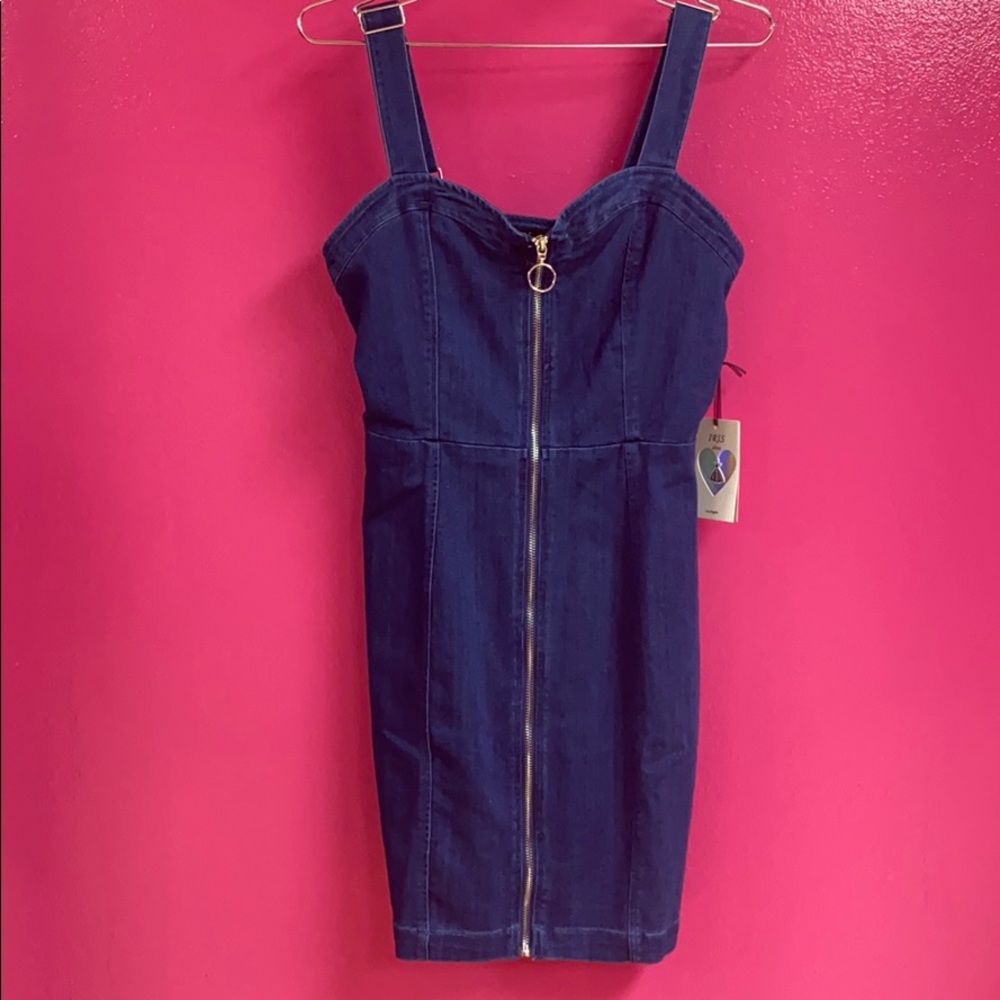 Iris Jean dress